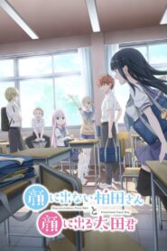 Inexpressive Kashiwada and Expressive Oota