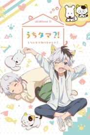 Uchitama! Have you seen my Tama?